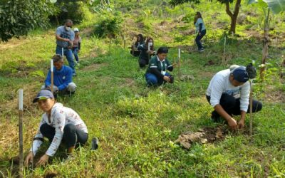 BULACANSOL, GREENEARTH HERITAGE FOUNDATION PARTNER FOR TREE PLANTING ACTIVITY